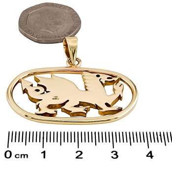 9ct gold 11.2g Dragon Pendant